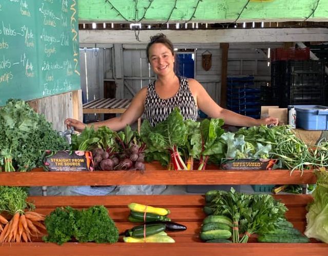 Our farm store is now open on Tuesdays and... - Ferme BeetBox Farm - Google Chrome 2019-07-29 3_21_40 PM tomatoes canning organic