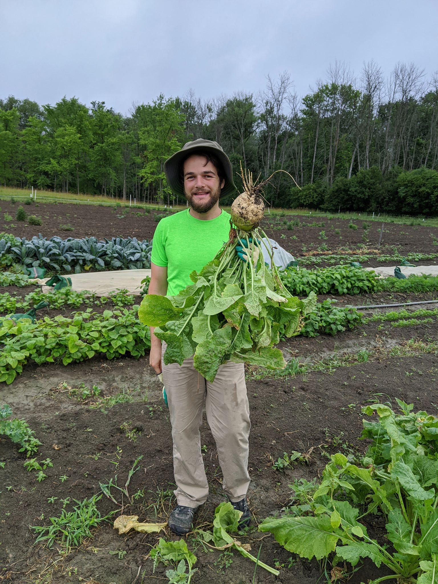 ted and turnip CF