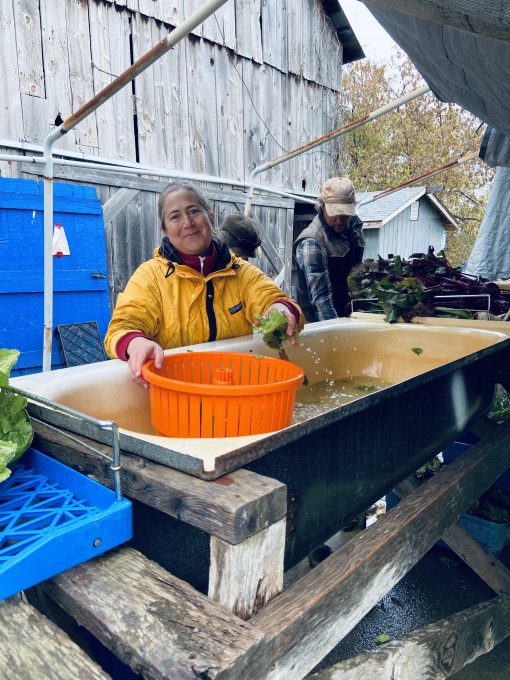 Randi washing root veggies in a large bath tub, wearing fall rain gear, smiling.